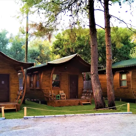 فندق Pine & Bungallows