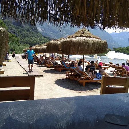 فندق Pine & Bungallows 4*