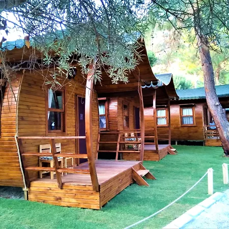 Pine & Bungallows هيسارونو