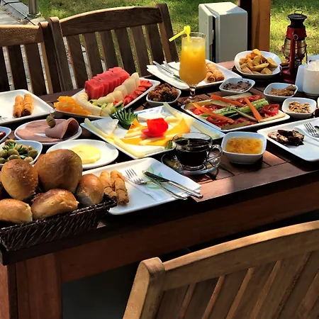 فندق Pine & Bungallows هيسارونو