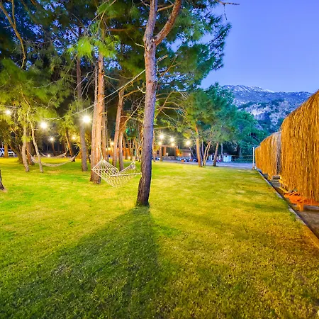 Pine & Bungallows 4*