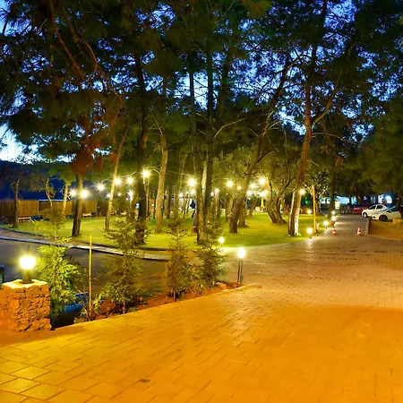 Pine & Bungallows 4*