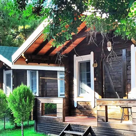 Pine & Bungallows فندق