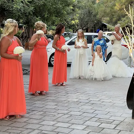 Pine & Bungallows 4*