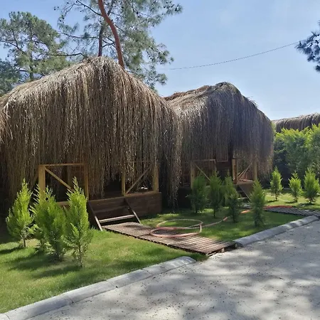 Pine & Bungallows 4*