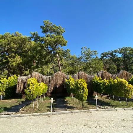 فندق Pine & Bungallows