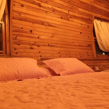 فندق Pine & Bungallows هيسارونو