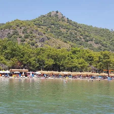 Pine & Bungallows هيسارونو