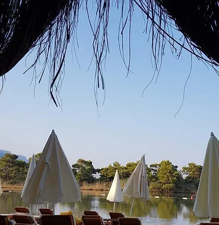 Pine & Bungallows 4*