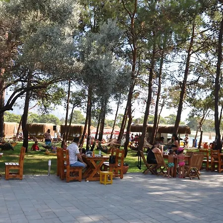 Pine & Bungallows Hotel 4*