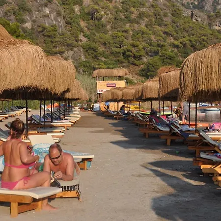 Pine & Bungallows هيسارونو