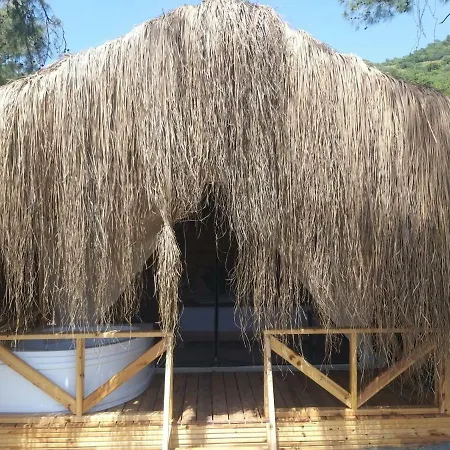 Pine & Bungallows 4*