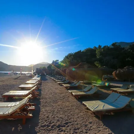 فندق Pine & Bungallows هيسارونو