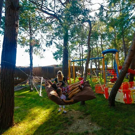 فندق Pine & Bungallows