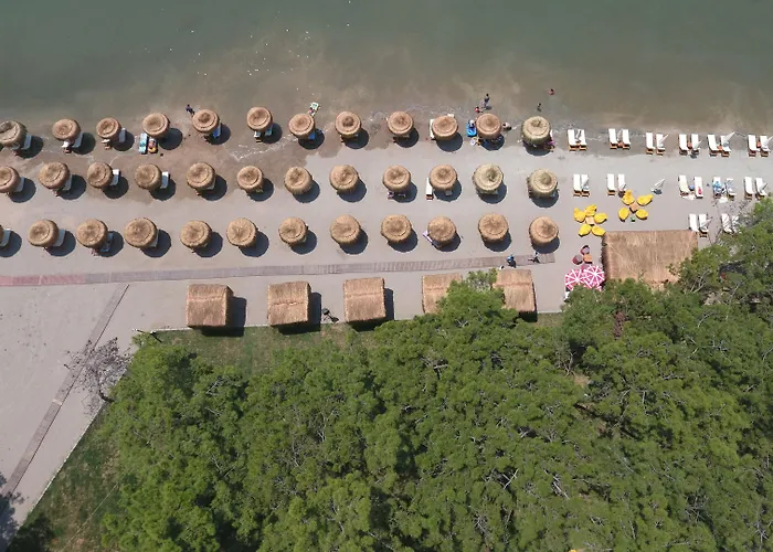 מלון Pine & Bungallows