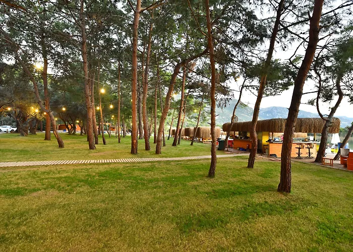 מלון Pine & Bungallows היסרונו