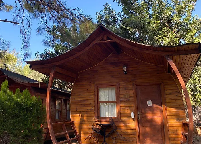 Pine & Bungallows היסרונו