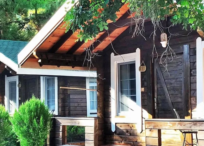 Pine & Bungallows מלון