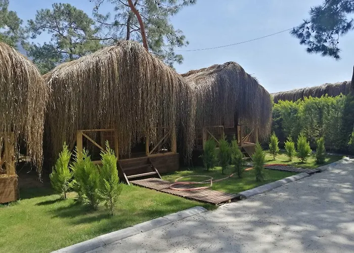 Pine & Bungallows 4*