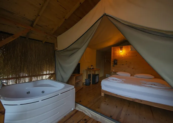 Pine & Bungallows מלון