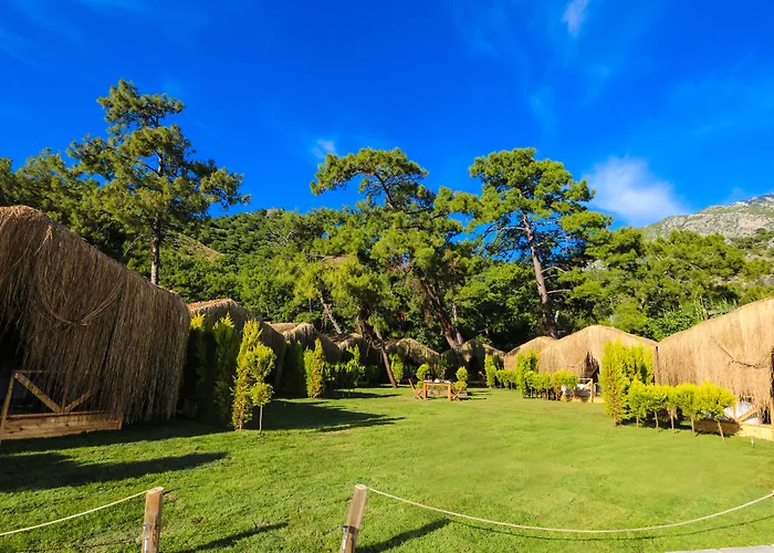 Pine & Bungallows מלון