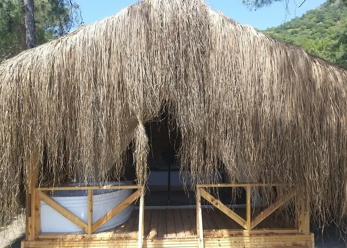 Pine & Bungallows 4*