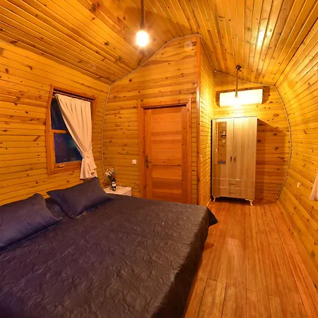 Отель Pine & Bungallows Хисароню