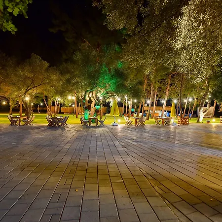 Pine & Bungallows 希萨勒尼