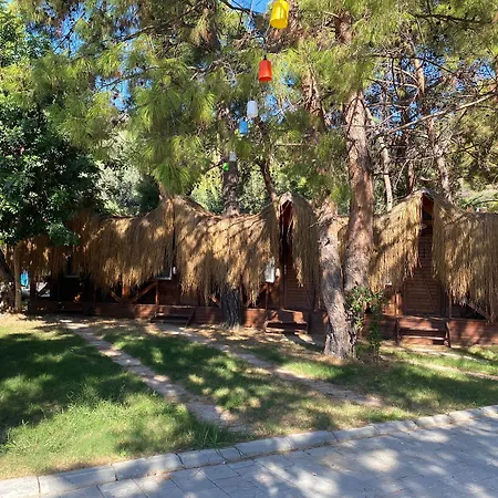 Pine & Bungallows 酒店 4*