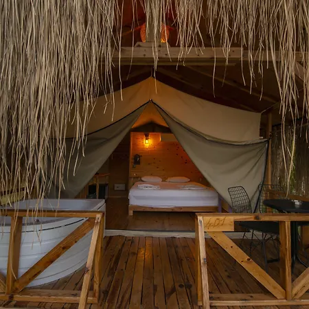 Pine & Bungallows 希萨勒尼