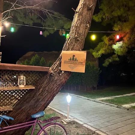 Pine & Bungallows 酒店 希萨勒尼