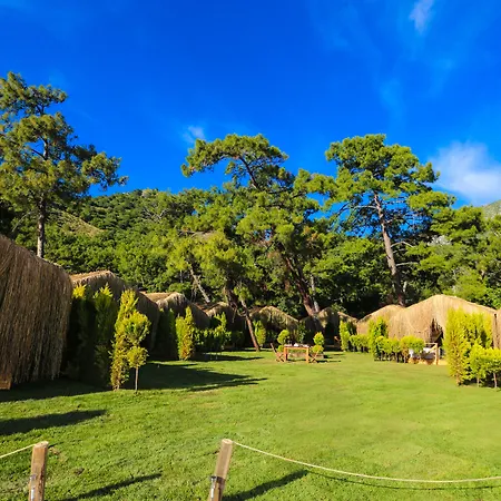 Pine & Bungallows 酒店