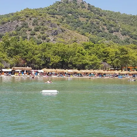 Pine & Bungallows 酒店