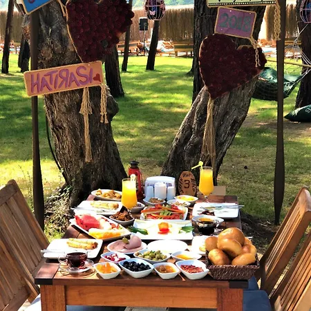 酒店 Pine & Bungallows