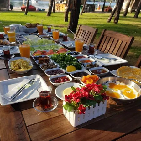 Pine & Bungallows 希萨勒尼