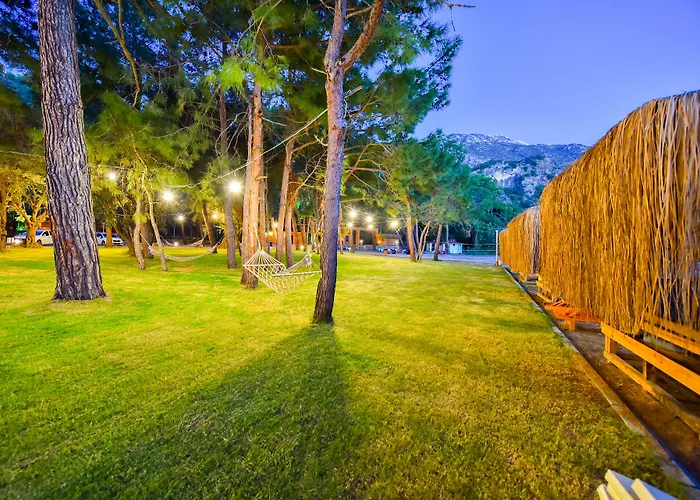 Pine & Bungallows 4*