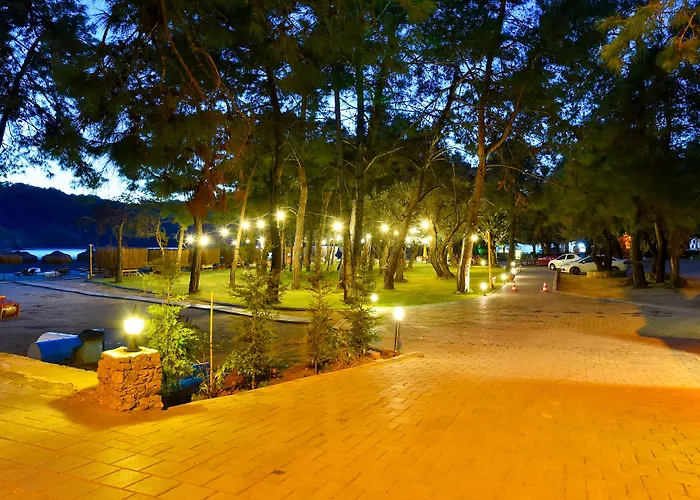 Pine & Bungallows 4*