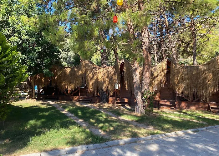 Pine & Bungallows Hotel 4*