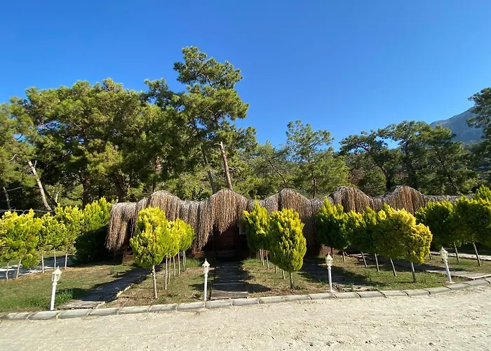 Hotel Pine & Bungallows