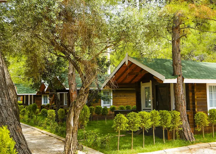 Hotel Pine & Bungallows