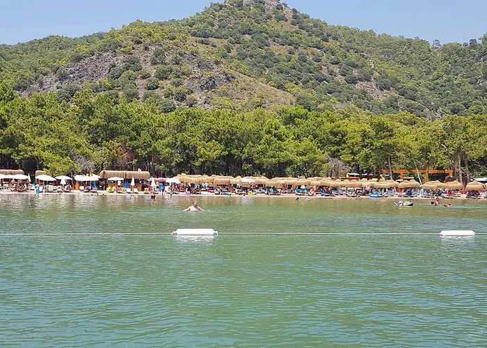 Pine & Bungallows Hotel