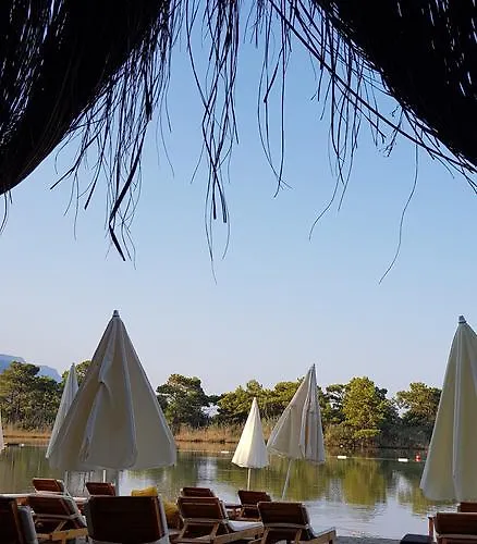 Pine & Bungallows 4*