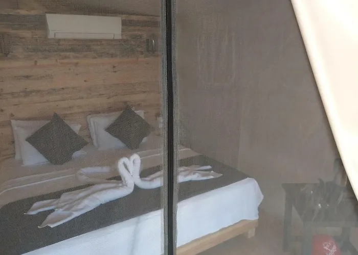 Pine & Bungallows Hotel